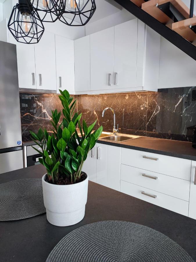 Freesia Loft Apartment Ioánnina Eksteriør bilde